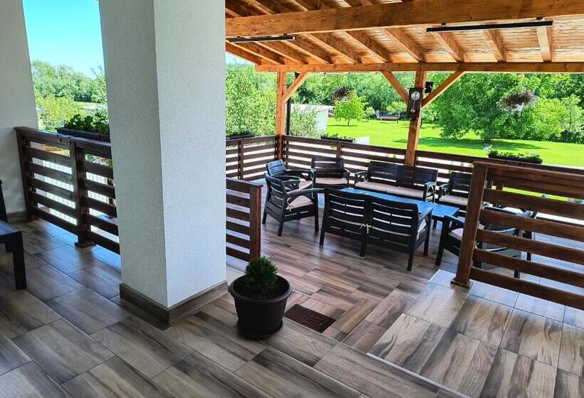 酒店 Pensiunea Anna