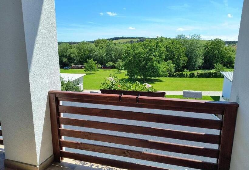 酒店 Pensiunea Anna