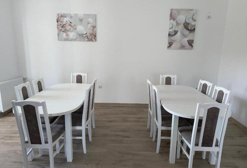 酒店 Pensiunea Anna