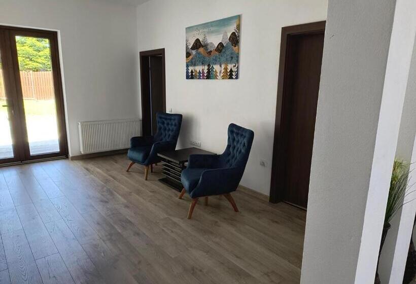 酒店 Pensiunea Anna