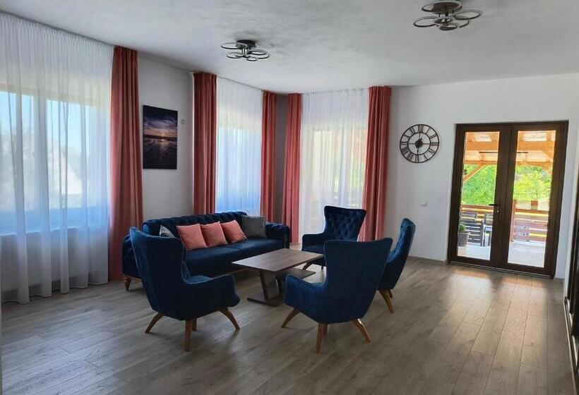 酒店 Pensiunea Anna