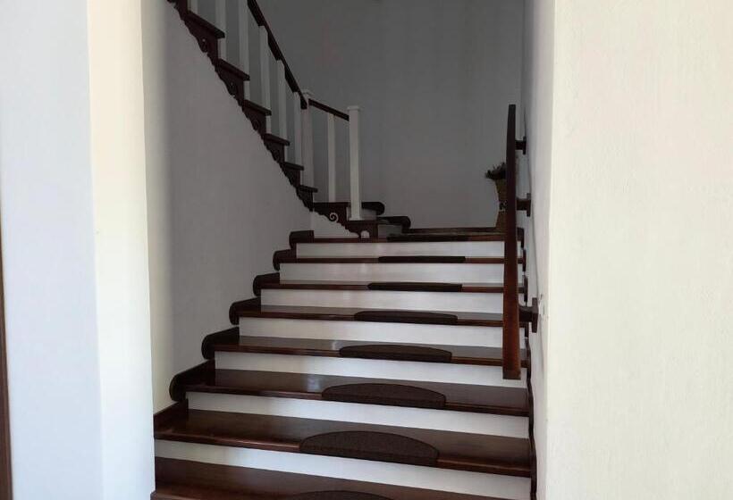 酒店 Pensiunea Anna