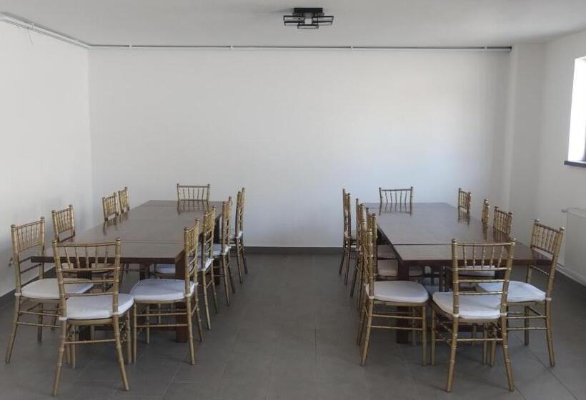 酒店 Pensiunea Anna