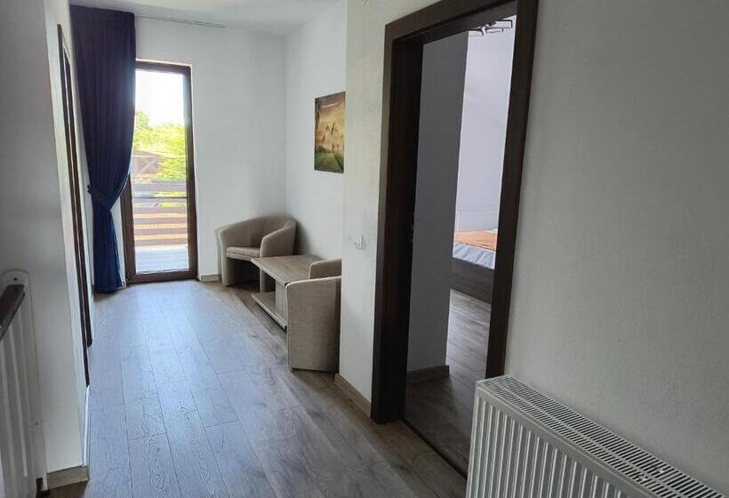 酒店 Pensiunea Anna