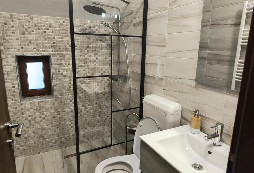 酒店 Pensiunea Anna