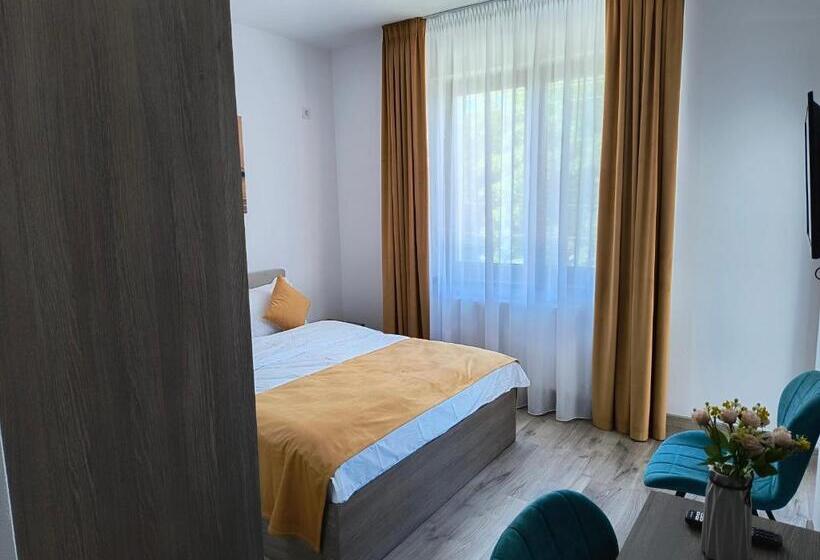 酒店 Pensiunea Anna