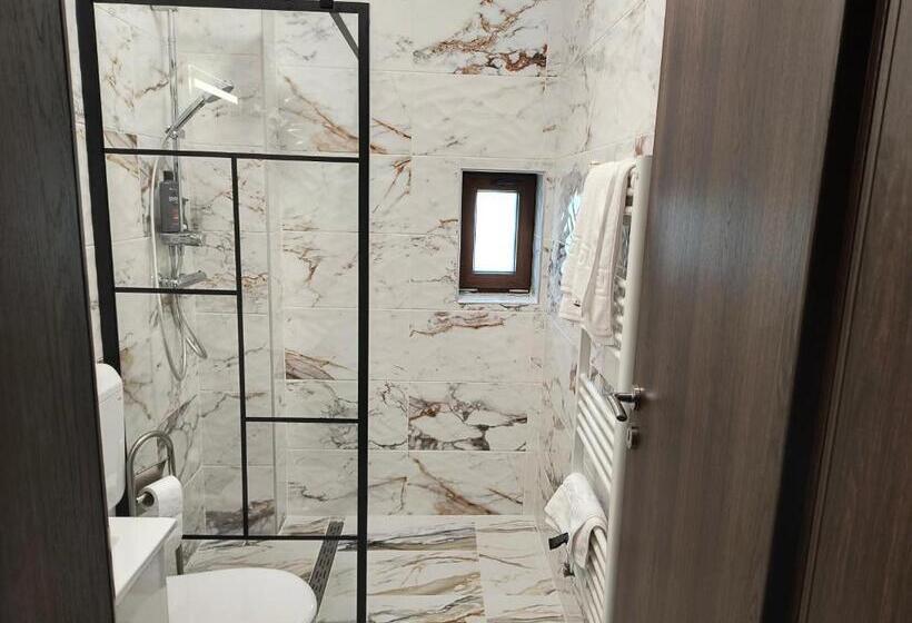 酒店 Pensiunea Anna