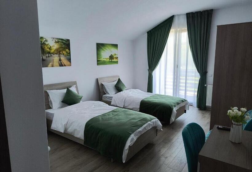 酒店 Pensiunea Anna