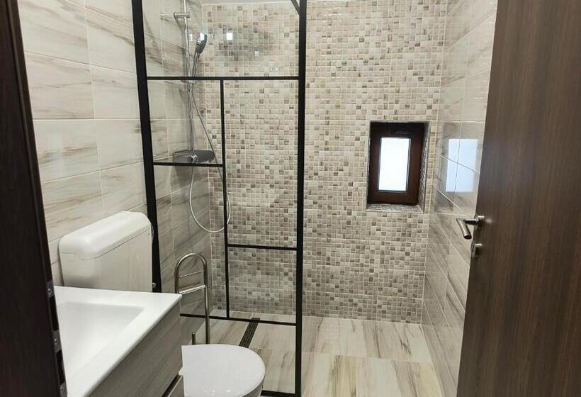 酒店 Pensiunea Anna