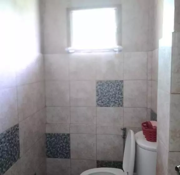Mischa S Hostel