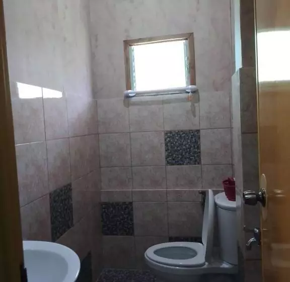 Mischa S Hostel