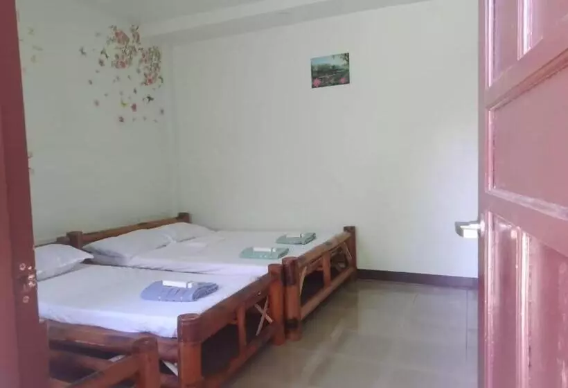 Mischa S Hostel