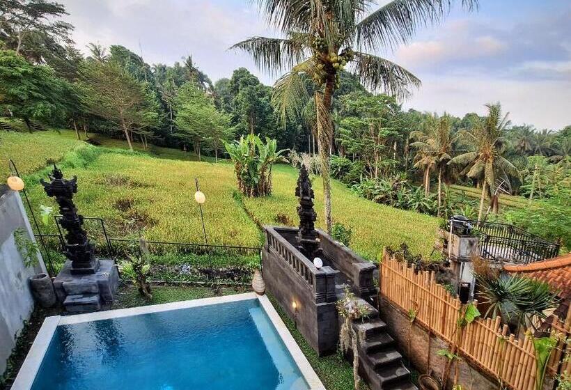 بنسيون Graha Shanti Guest House