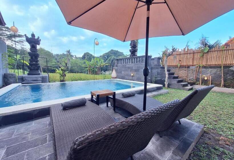 بنسيون Graha Shanti Guest House