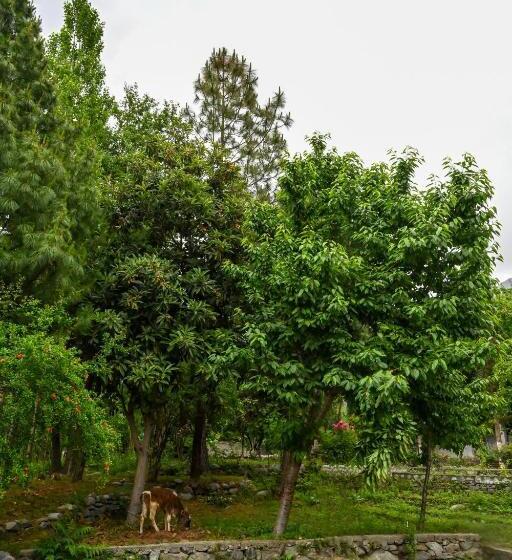 پانسیون Pecone Resort