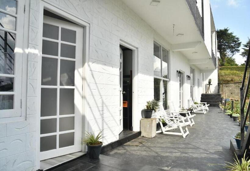 פנסיון Shiny Cot Double Twin Room