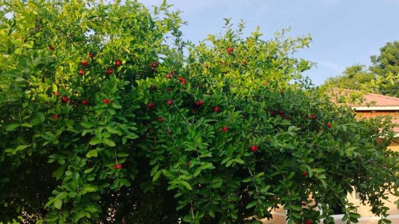 Resort เอเจ รีสอร์ท