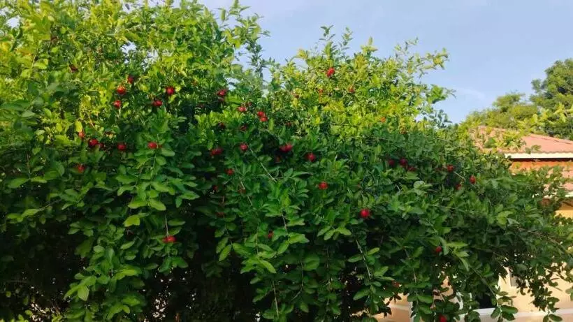 リゾートホテル เอเจ รีสอร์ท