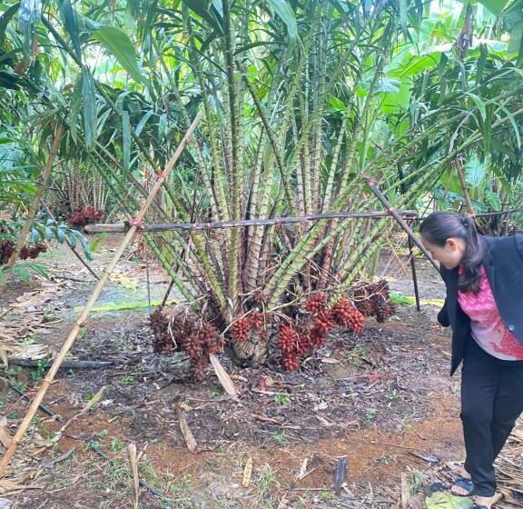 Resort เอเจ รีสอร์ท