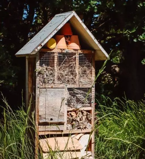 Aamiaismajoitus (B&B) Casa Alenti   Maison D Hôtes