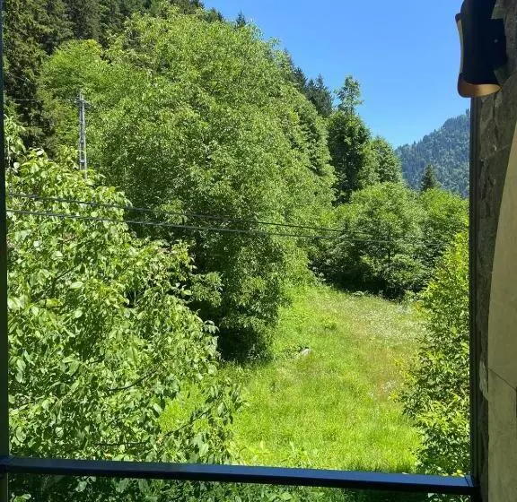 Aamiaismajoitus (B&B) Vadi Taş Konak