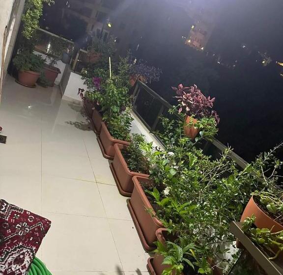 تختخواب و صبحانه Zzinn