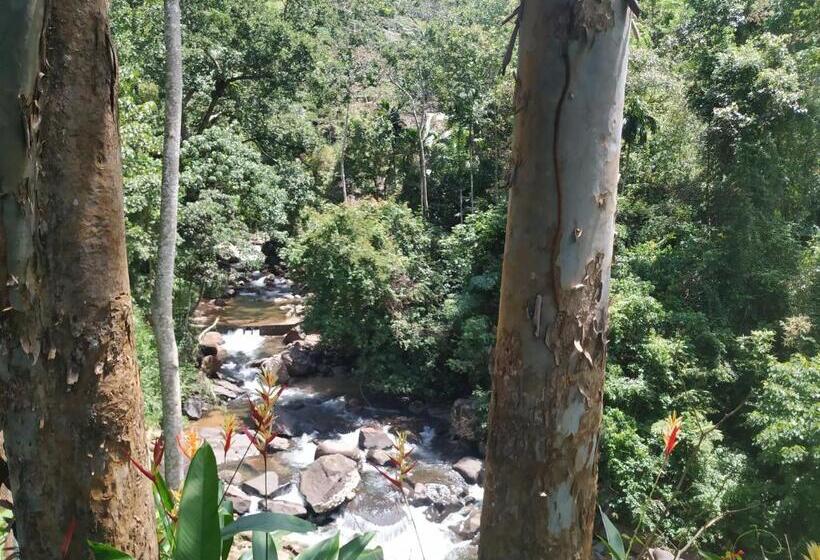 Green Water Resort   Mountain Villa With Natural Pool