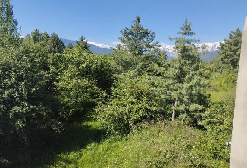בית מלון כפרי Gulmarg Green Valley Heights