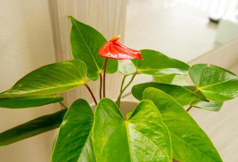 בית מלון כפרי Puean Chang Resort Phuket