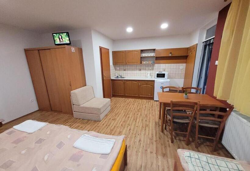 Пансион Alenka