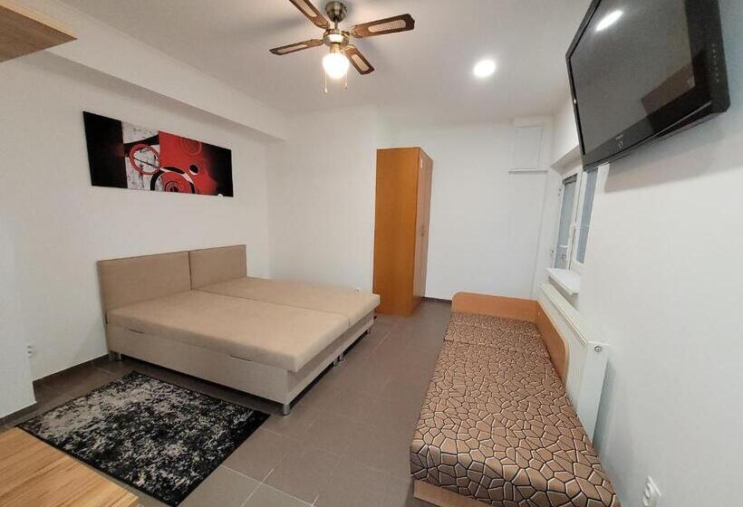 Pension (Hôtel basse catégorie) Alenka