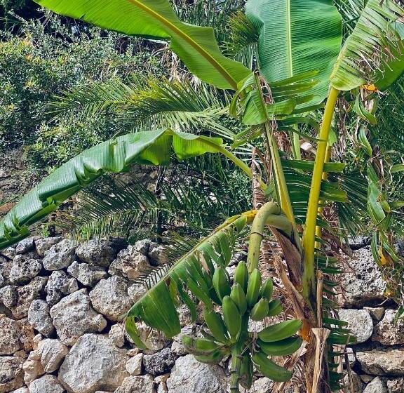 پانسیون Casablanca Rooms Dhërmi