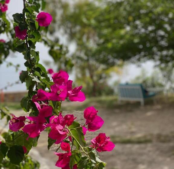 پانسیون Casablanca Rooms Dhërmi