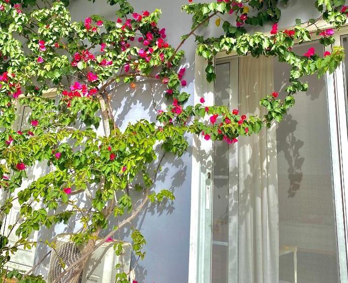 پانسیون Casablanca Rooms Dhërmi