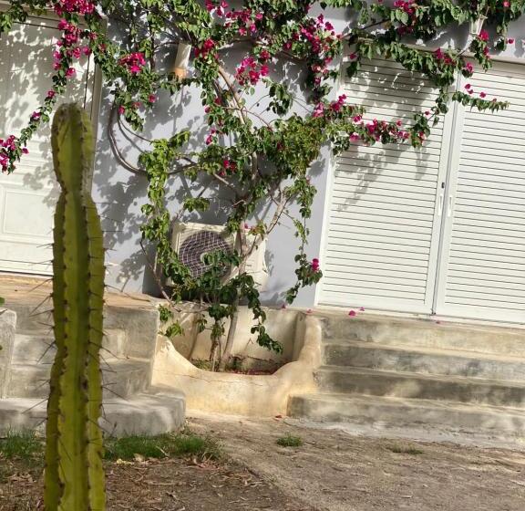 پانسیون Casablanca Rooms Dhërmi