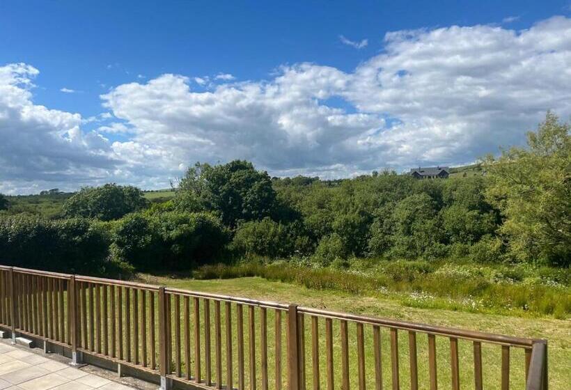 بنسيون Old Mc Carthys Bar