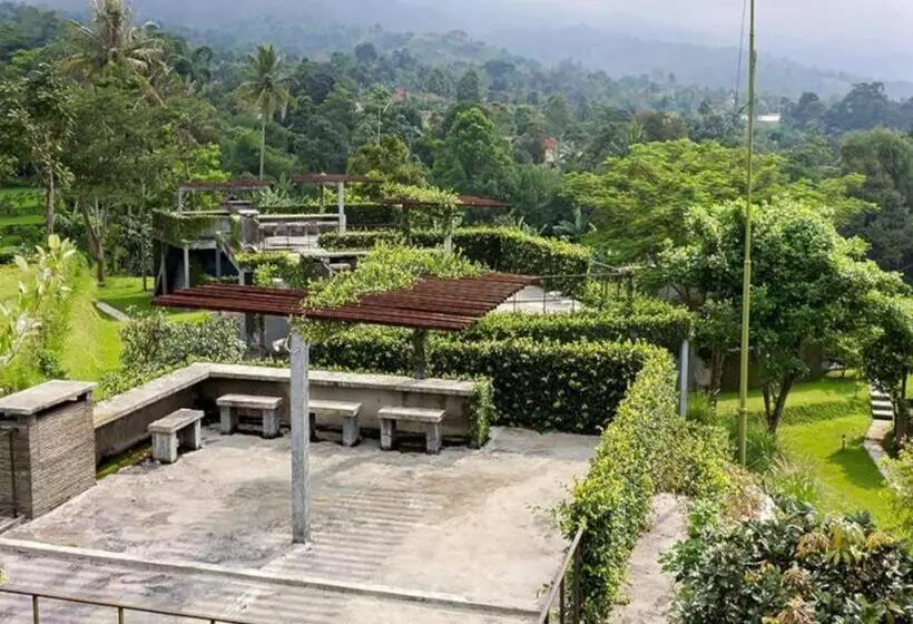 Tea Garden Resort