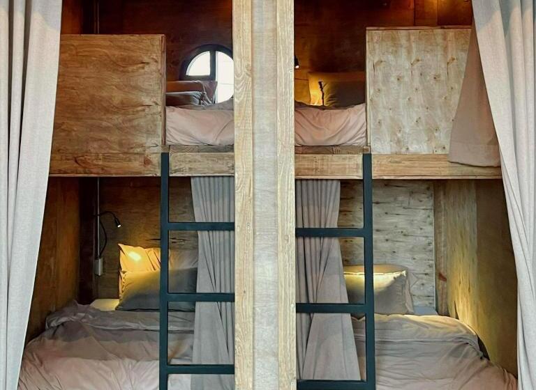 הוסטל Shack The Nap