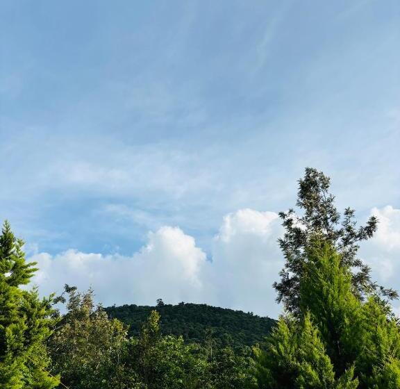 膳宿费 Estate Stay