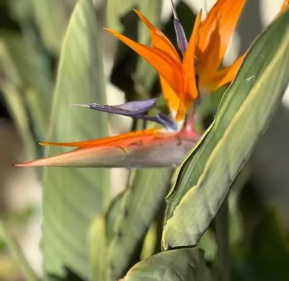 Majatalo La Villa Des Oliviers