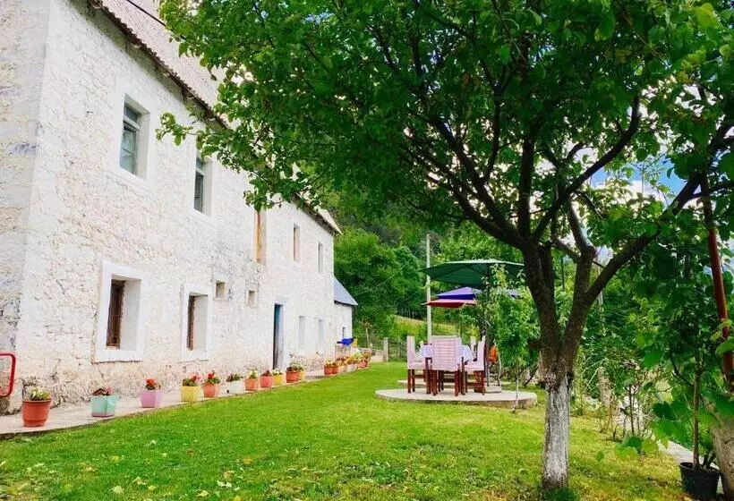 Pensión Vila Silvester