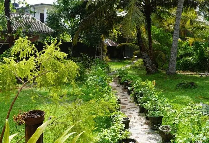 Slow Living Guesthouse And Hostel