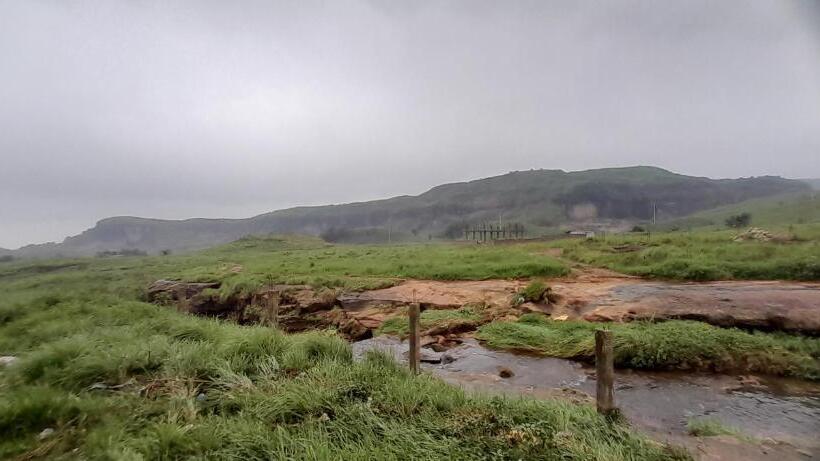 هاستل Clouded Leo Inn