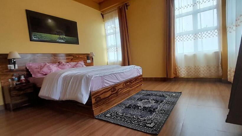 هاستل Clouded Leo Inn