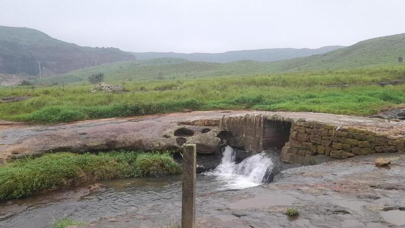 هاستل Clouded Leo Inn