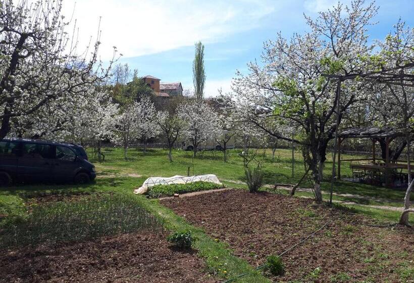 تختخواب و صبحانه Camping Kapxhiu