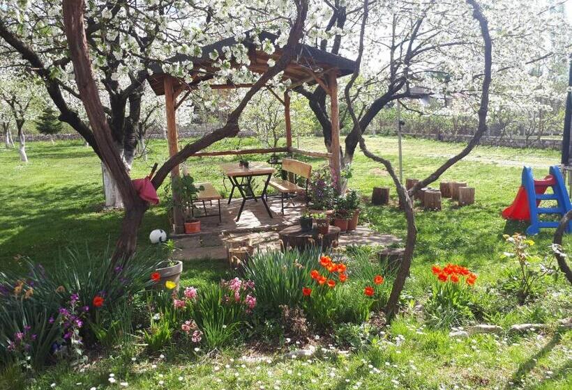 تختخواب و صبحانه Camping Kapxhiu