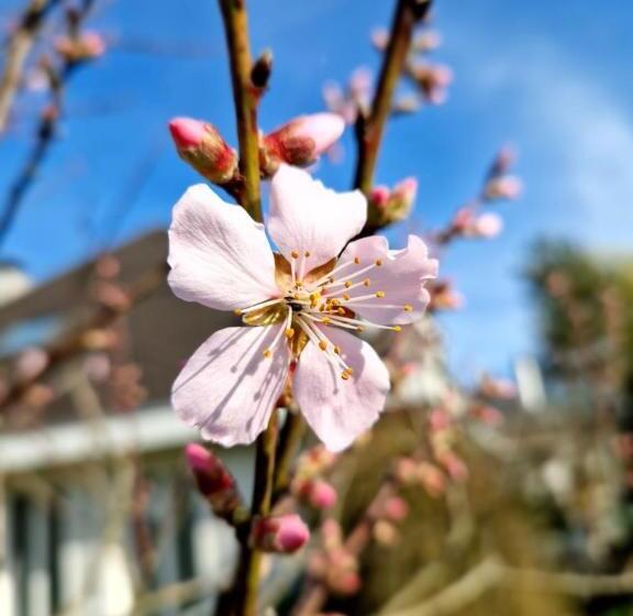 Bed & Breakfast Gästezimmer Gerlafingen