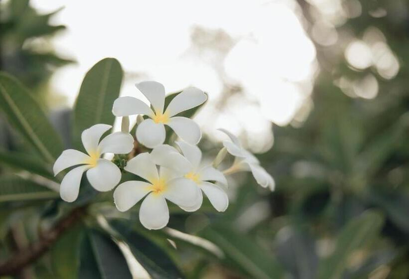 Hotel Bananaleaf Wedding Cafe & Resort