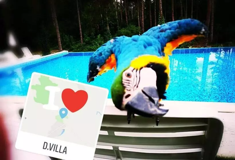 Hotelli D Villa